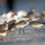 2025年6月24日开奖结果正式公布 0wdk0