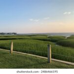 2025年6月4日最新彩票开奖结果权威发布 6414ua0