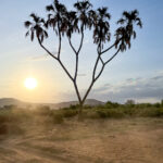 2025年3D彩票全年完整开奖结果与号码走势详细汇总 90r9s9hs