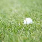 2025年全年开奖历史记录完整回顾与汇总 9rbr1