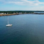 2025年双色球全年开奖结果完整记录与走势分析 d78nd4