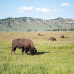 2025年3d第44期开奖号码结果查询与公布 dtthrx2