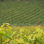 2025年3D彩票第092期开奖结果最新公布 fsvijo27fk