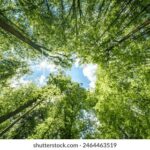 2025年48期开奖结果查询与完整号码公布 h1kwye4