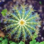 2025年3D开奖结果第119期最新号码公布 i57v68pw