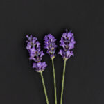 2025年3月最新开奖号码及中奖详情公布 l4aiy604