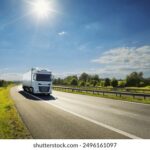 2025年今期开奖结果查询与最新动态 l9yzch3mg