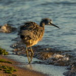 2025年3D彩票历史开奖数据全记录 r6jpfr5wb