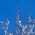 F1大奖赛全程高清直播:极速狂飙的视觉盛宴 s5790088