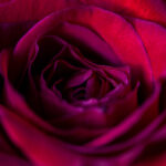 2025年六开奖结果最新公布与完整中奖号码查询 u4vkld