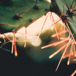 2025年3D彩票全年开奖结果历史完整回顾 v6jhmr